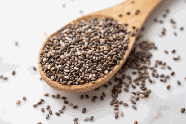 诗纳帝尔膳食减肥